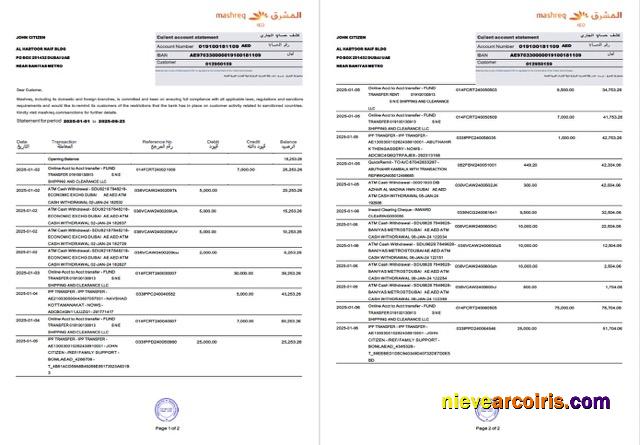 UAE Mashreq account statement Word and PDF, 2 pages